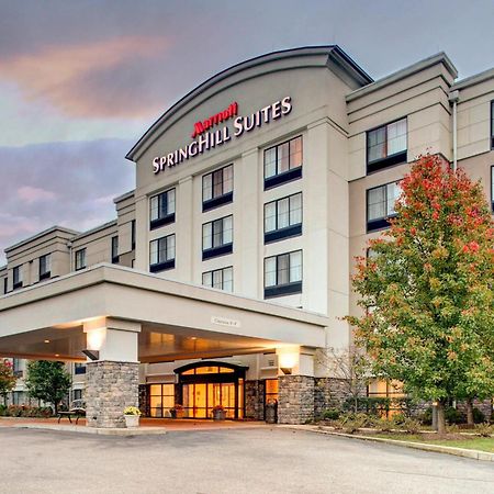 Springhill Suites By Marriott Wheeling Triadelphia Area מראה חיצוני תמונה